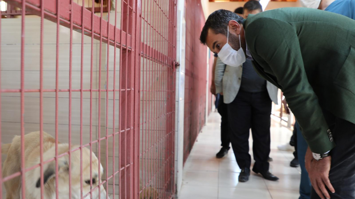 Baskan Serifogullari Hayvan Hastanesi Ve Bakim Evi Ni Ziyaret Etti Elazig Belediyesi