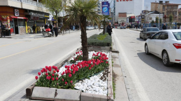 Elazığ'da Bahar Laleler ve Çiçeklerle Bir Başka Güzel - 2018