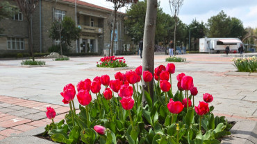 Elazığ'da Bahar Laleler ve Çiçeklerle Bir Başka Güzel - 2018