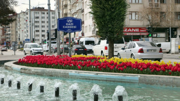 Elazığ'da Bahar Laleler ve Çiçeklerle Bir Başka Güzel - 2018