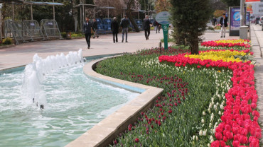 Elazığ'da Bahar Laleler ve Çiçeklerle Bir Başka Güzel - 2018