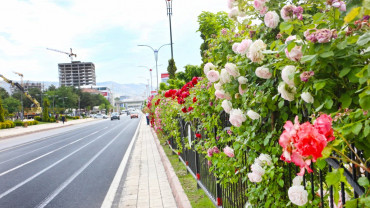 Elazığ'da Bahar Laleler ve Çiçeklerle Bir Başka Güzel - 2018