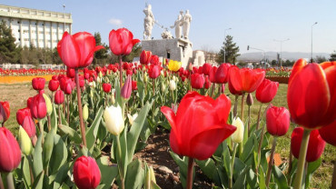 Şehirden Görünümler