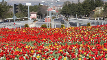 Şehirden Görünümler