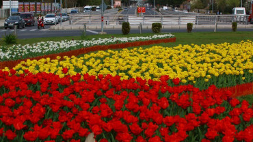 Şehirden Görünümler