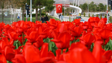 Şehirden Görünümler