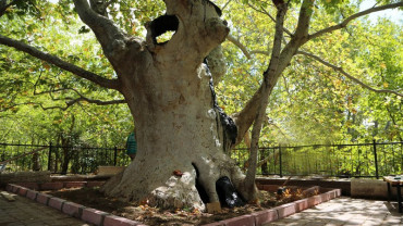 Harput Genel Resimler