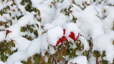 Harput'ta Kış 2017-2018
