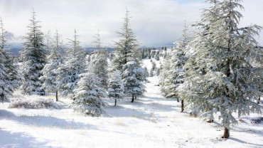 Harput'ta Kış 2017-2018