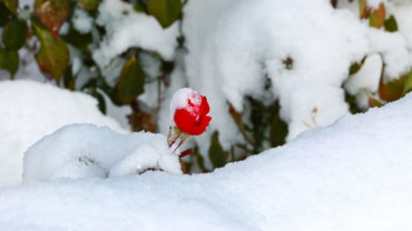 Harput'ta Kış 2017-2018
