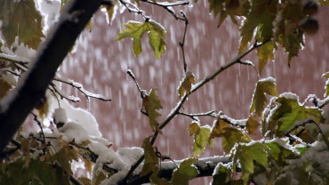 Kar ve Kış Manzaraları