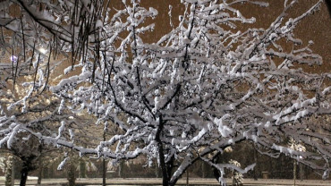 Kar ve Kış Manzaraları