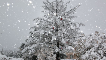 Kar ve Kış Manzaraları