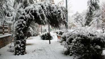 Kar ve Kış Manzaraları