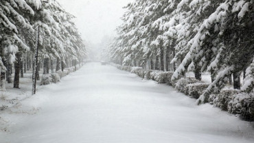 Kar ve Kış Manzaraları