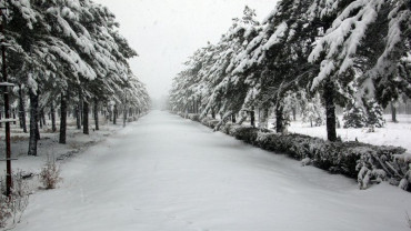 Kar ve Kış Manzaraları