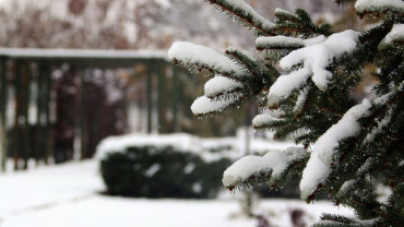 Kar ve Kış Manzaraları