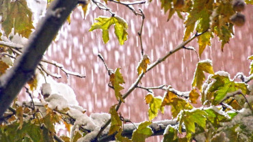 Kar ve Kış Manzaraları