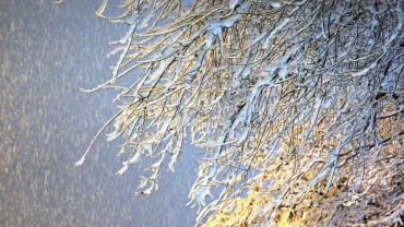 Kar ve Kış Manzaraları