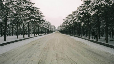 Şehirden Görünümler