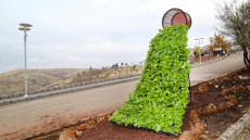DİKEY BAHÇELERLE ŞEHRE YEPYENİ RENK