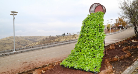 DİKEY BAHÇELERLE ŞEHRE YEPYENİ RENK