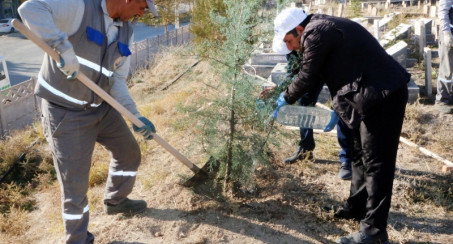 MEZARLIK ALANLARINDA 5 BİN FİDAN TOPRAKLA BULUŞUYOR