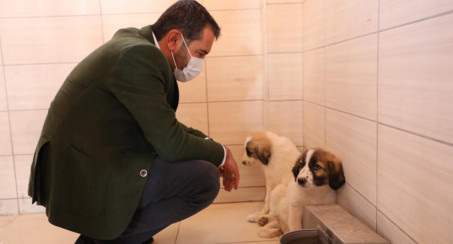 Başkan Şerifoğulları, Hayvan Hastanesi ve Bakım Evi'ni Ziyaret Etti