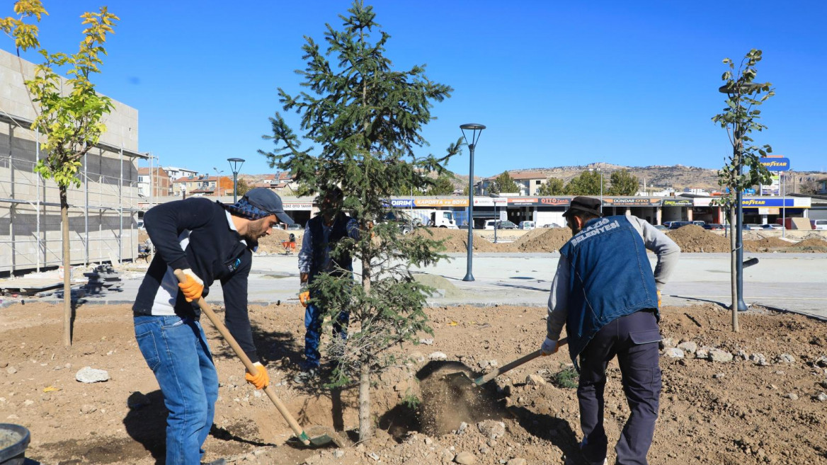 Doğu Park'ta Sona Doğru
