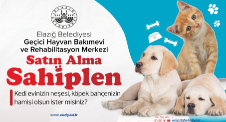 Elazığ Belediyesi Can Dostlarımız İçin 'Satın Alma Sahiplen' Kampanyası Başlattı