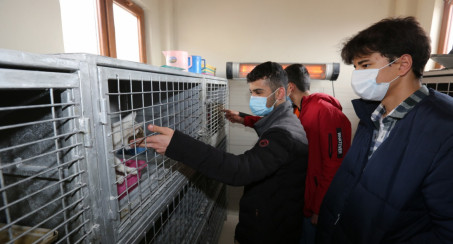 Elazığ Belediyesi Geçici Hayvan Bakımevi Rehabilitasyon Merkezi Ziyaretçilerini Ağırlamaya Devam Ediyor