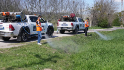 Elazığ Belediyesi İlaçlama Çalışmalarına Hız Verdi