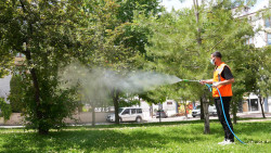 Elazığ Belediyesi, İlaçlama Çalışmalarını Aralıksız Sürdürüyor