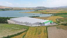 Elazığ Belediyesi Jeotermal Sera Sahası'nda Topraksız Tarıma Başladı