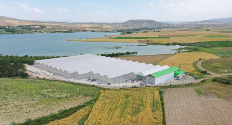 Elazığ Belediyesi Jeotermal Sera Sahası'nda Topraksız Tarıma Başladı