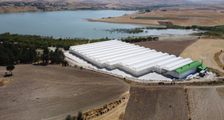 ELAZIĞ BELEDİYESİ, JEOTERMAL SERA SAHASI'NDA 12 AY BOYUNCA HEM FİDE ÜRETECEK HEM DE SEBZE YETİŞTİRECEK