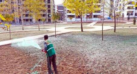 Elazığ Belediyesi Kışa Dayanıklı Yeşillendirme Çalışmalarına Devam Ediyor