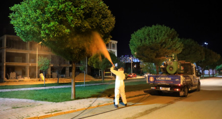 ELAZIĞ BELEDİYESİ LARVAYLA MÜCADELE ÇALIŞMALARINI SÜRDÜRÜYOR