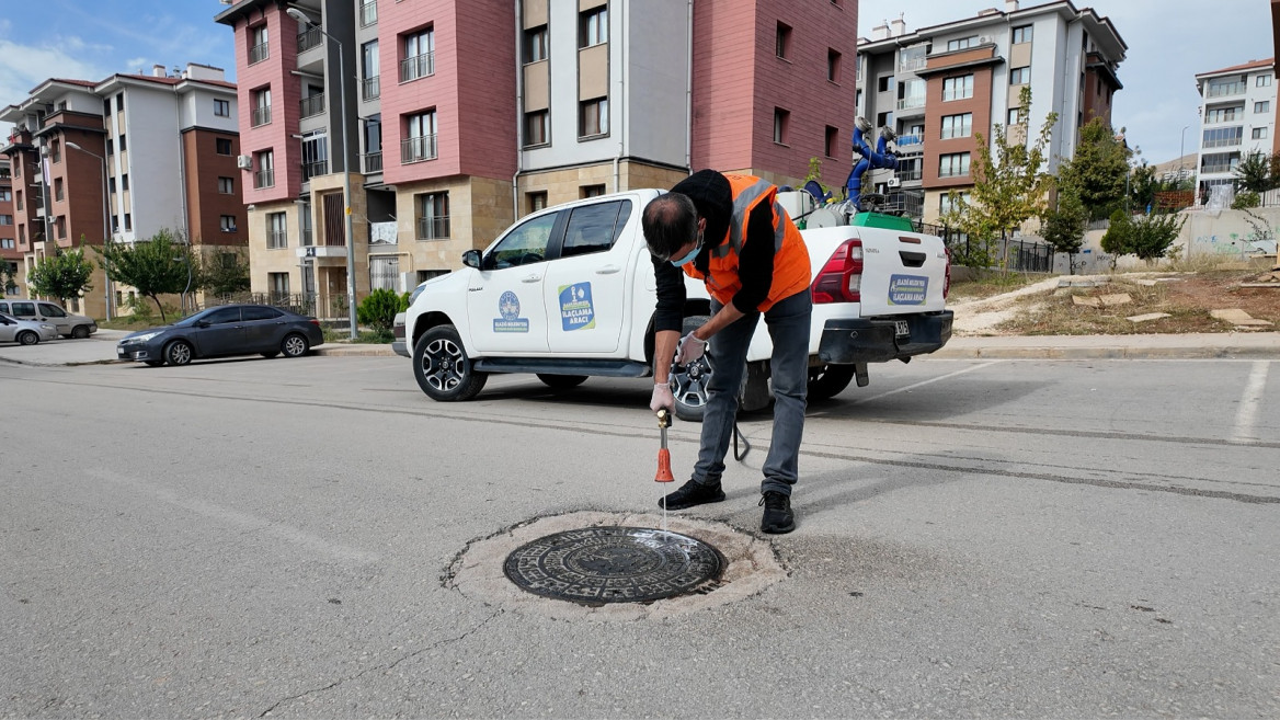 Elazığ Belediyesi'nden 12 Ay Kesintisiz Larva Mücadelesi