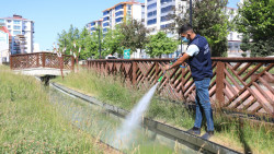 Elazığ Belediyesi'nden Kurban Bayramı Öncesinde Kent Genelinde İlaçlama Çalışması