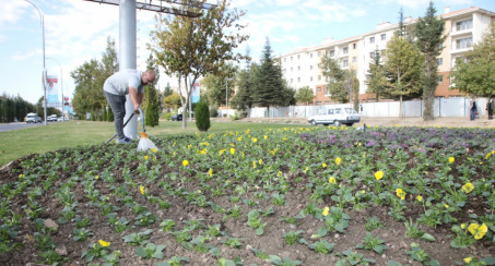 Elazığ Belediyesi'nden Mevsimlik Çiçek Dikimi