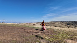 Elazığ Belediyesi'nden Sokak Hayvanlarına Ve Yaban Hayatına Kış Desteği