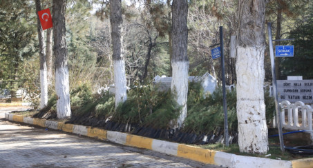 Elazığ Belediyesi'nden Vatandaşlara Ücretsiz Çam Fidanı