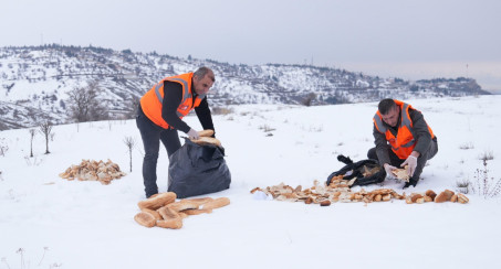 Elazığ Belediyesi'nden Yaban Ve Sokak Hayvanlarına Mama Desteği Sürüyor
