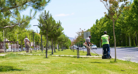 Elazığ Belediyesi'nden Yeşil Alanlarda Yaz Temizliği ve Bakımı