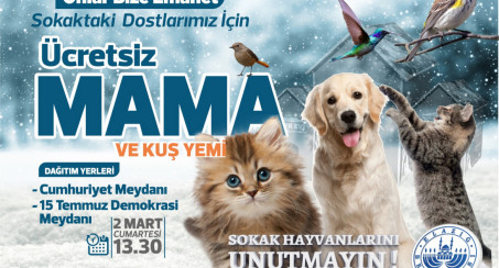 Elazığ Belediyesi Ücretsiz Mama ve Kuş Yemi Dağıtacak