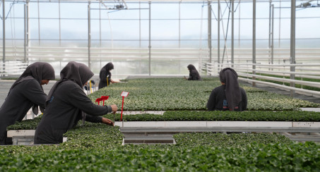 ELAZIĞ BELEDİYESİ ÜRETİYOR, DİKİYOR, KENT ESTETİĞİNE DEĞER KAZANDIRIYOR