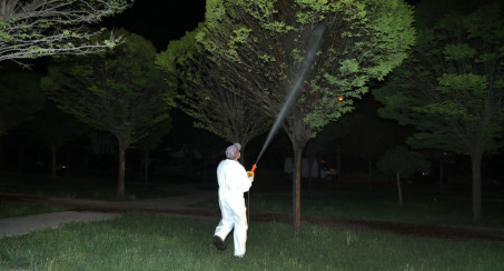 Elazığ Belediyesi Yaza Hazırlanıyor