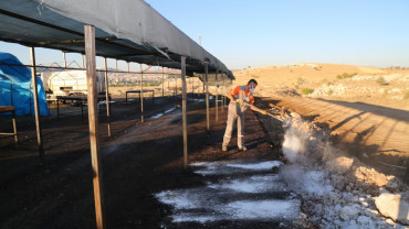 Kurban Satış ve Kesim Alanları Temizlendi
