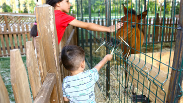 Kent-Köy Yaşam Alanı, Vatandaşların Vazgeçilmezi Oldu